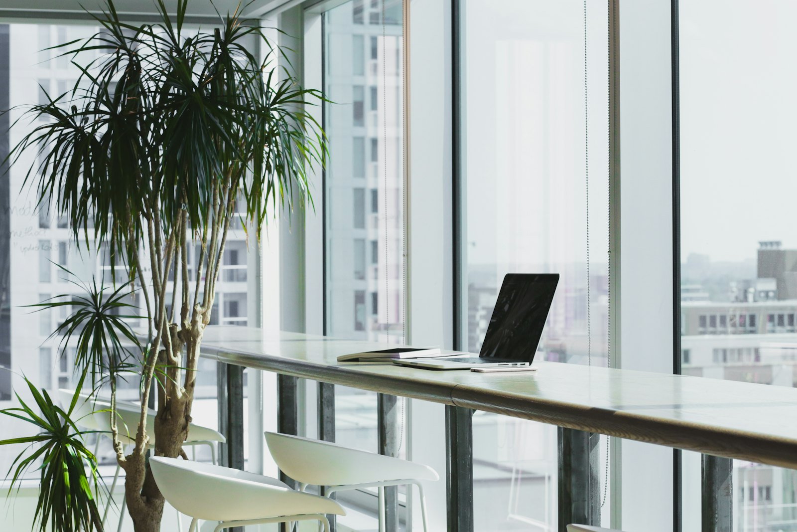 Open-plan office floor with large windows and clean lines